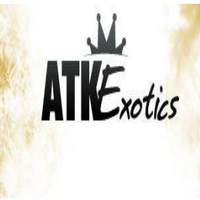 ATK Exotics
