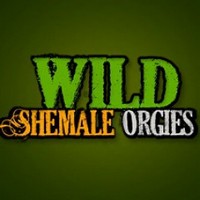 Wild Shemale Orgies