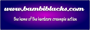 bambiblacks.com