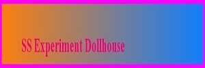 SS Experimental Dollhouse