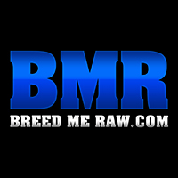 Channel Logo