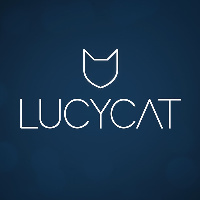 lucy-cat-channel