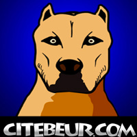 Channel Logo