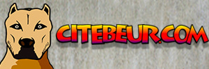Click to watch all the videos from CITEBEUR.COM